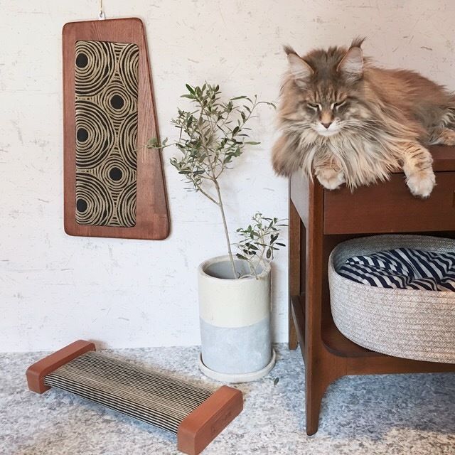 ORIGINAL Cat Scrather-Board Refill ۸ޤȤܡ