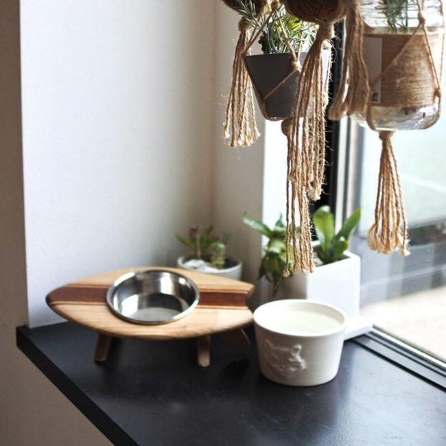 ORIGINALFurbaby Water-bowl/Ⱦܥ