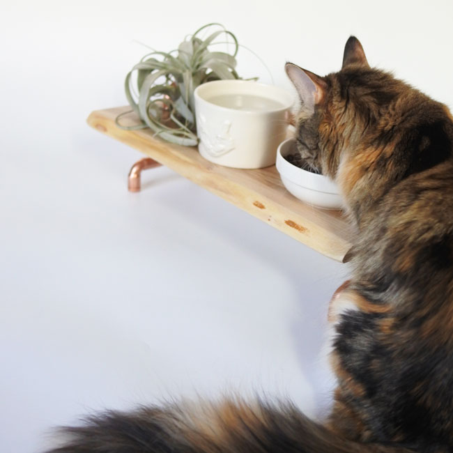 ORIGINALIndustrial Dining Table /ȥꥢ˥󥰥ơ֥(made in Japan)