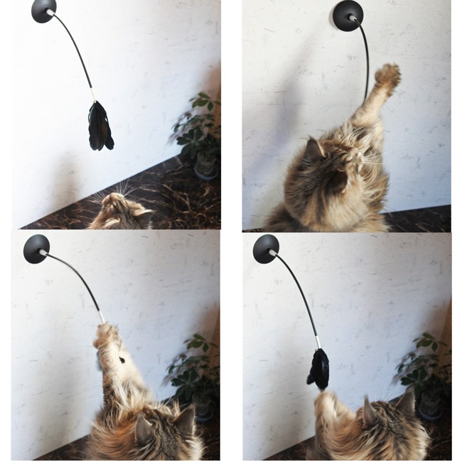 Pidan - Cat Teaser Wand Shake-Shake/դǭ餷