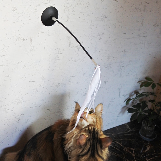 Pidan - Cat Teaser Wand Shake-Shake/դǭ餷