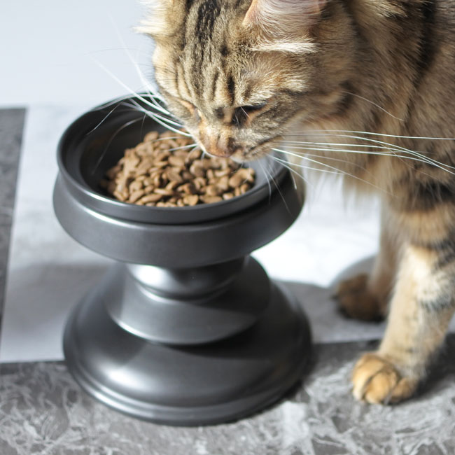 ORIGINALChess piece bowl refill/աɥܥ ܥե