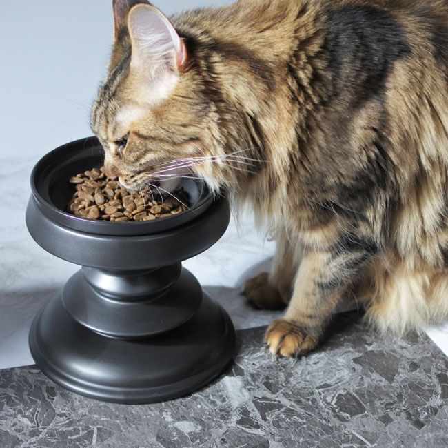 ORIGINALChess piece bowl refill/աɥܥ ܥե