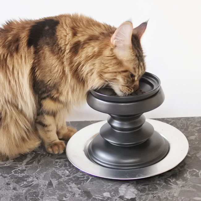 ORIGINAL】Chess piece bowl refill/磁器製 チェス駒フード