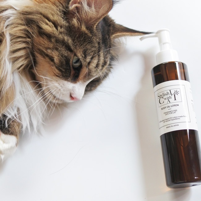 ORIGINALDecoraMeow  BODY OIL LOTION/100%ʪܥǥ