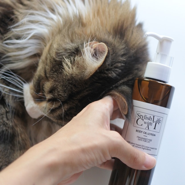 ORIGINALDecoraMeow  BODY OIL LOTION/100%ʪܥǥ