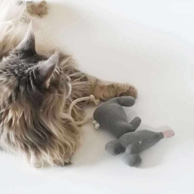 BEASTY TOYS Rat-cosy&dozy POLAND