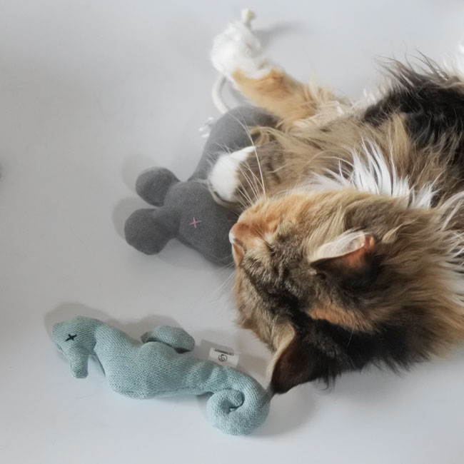 BEASTY TOYS Seahorse-cosy&dozy POLAND