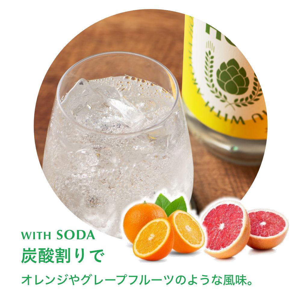 新発売ホップ焼酎】ホップで爽快♪まさに新感覚！ SUN SUN HOP