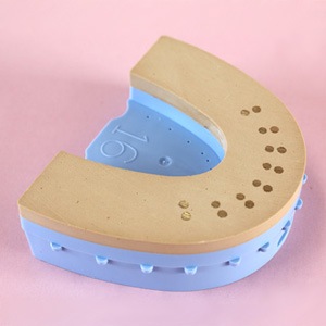 SS LABO模型 Wピンタイプ | すべての商品 | DentalBox 歯科材料の通販