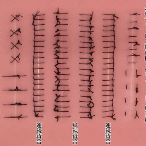 Dr.榊のインプラント歯周外科短期養成プログラム DVD Dr.榊のインプラント歯周外科短期養成プログラム | 医療情報研究