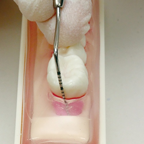 歯科衛生士 基本セット 歯科衛生士基本コース | すべての商品 | Dental Pit Store