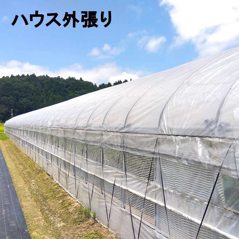 遮熱資材 遮光ネット ふあふあ ホワイトプラス40 3.0m×50m 遮光率約40％ 寒冷紗 ダイヤテックス サT 北海道不可 代引不可 遮熱資材 遮光ネット ふあふあ ホワイトプラス60 2.7m×100m