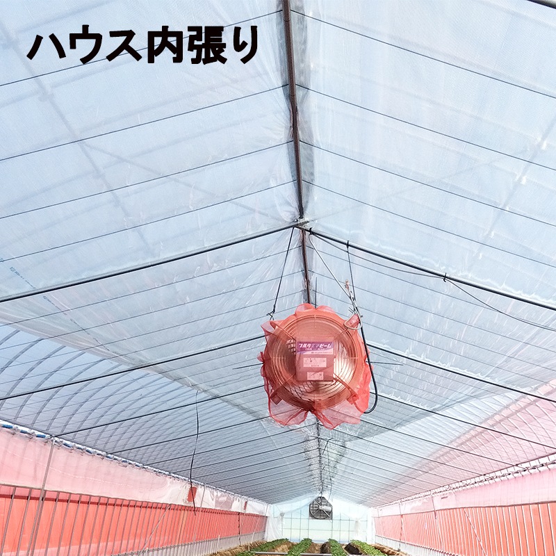 みそら☆ 4点 神羅万象チョコ 公式ポータル｜神羅無限書庫｜ゼクスファクター