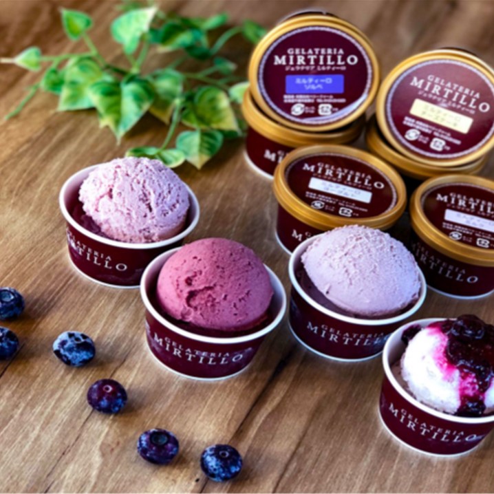 ふるさと納税 千歳市 ブルーベリージェラート ふるさと納税 ブルーベリー ジェラート ミルティーロ アイス アイス