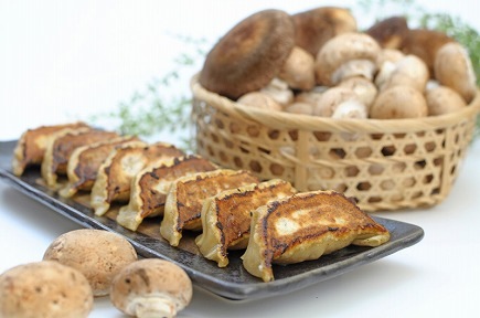 手打ち餃子 天のびろく『餃子』<br>超得!4箱(12個入×4) ☆北海道送料無料☆