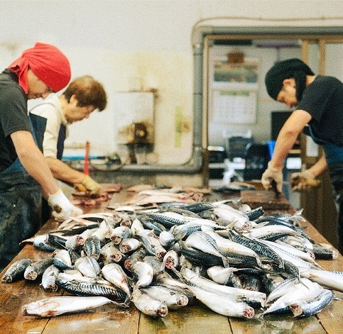 越田の鯖缶 (4個セット)