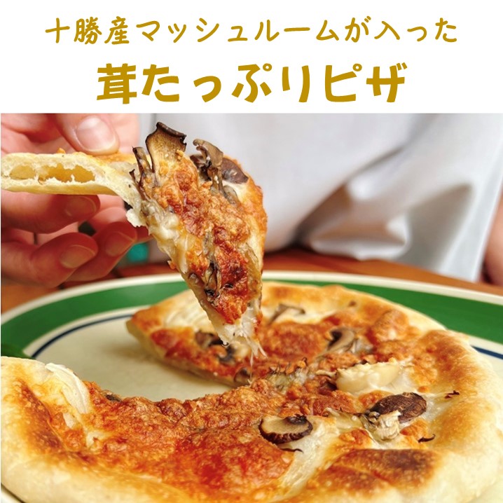 ������̣�臘���ԥ������饿�󥻥åȡ���ƻ������̵����