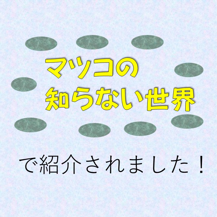 �����ԳѲ��� �Ƥ����У����ब���åȤˡ� ������Ƥ����Х��åȡ�3���3�ޡ� ��9��