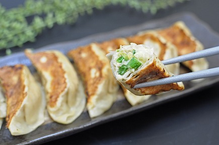 手打ち餃子 天のびろく『オリジナル餃子』☆北海道送料無料☆