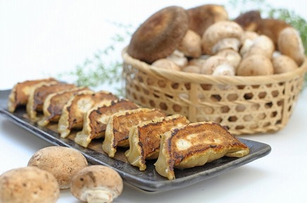 ���Ǥ��ҡ�ŷ�ΤӤ����ؤȤ����ޥå���١����̳�ƻ����̵����