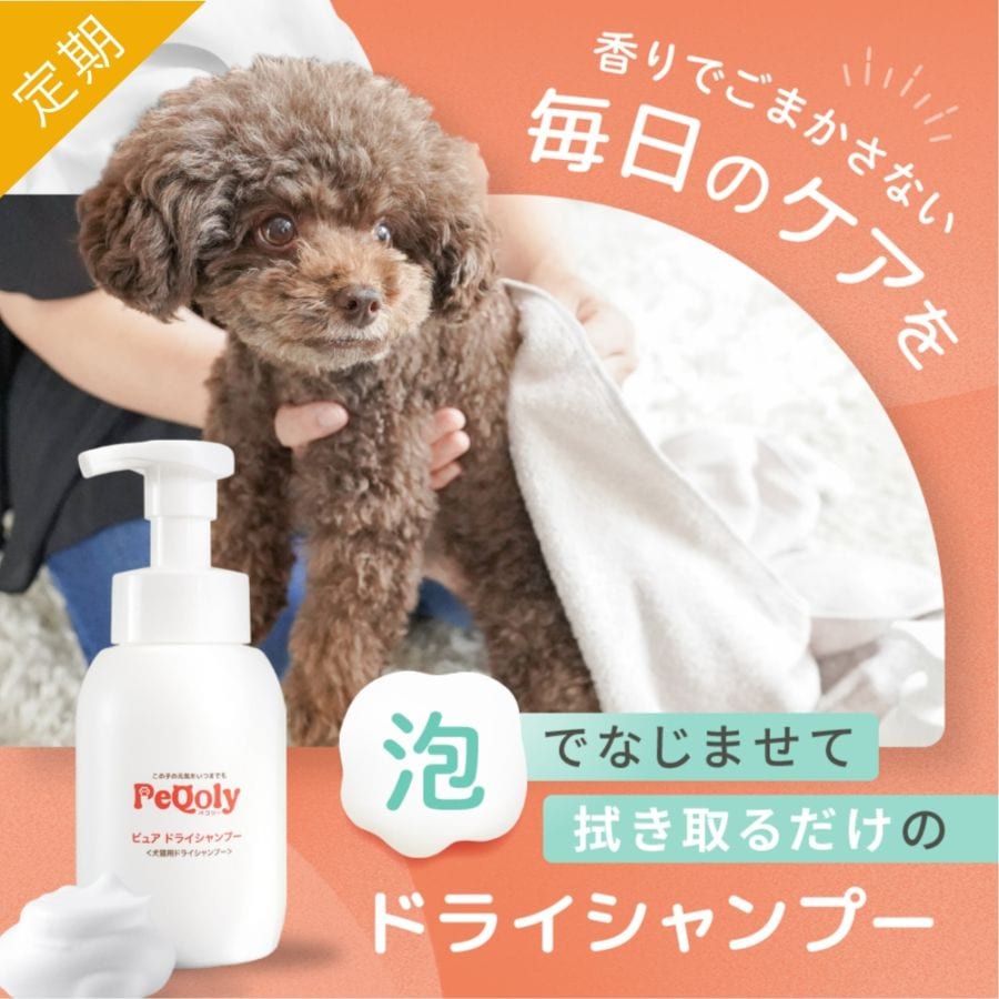 ペコリー ピュア ドライシャンプー 定期お届けコース 2ヶ月ごと：2本