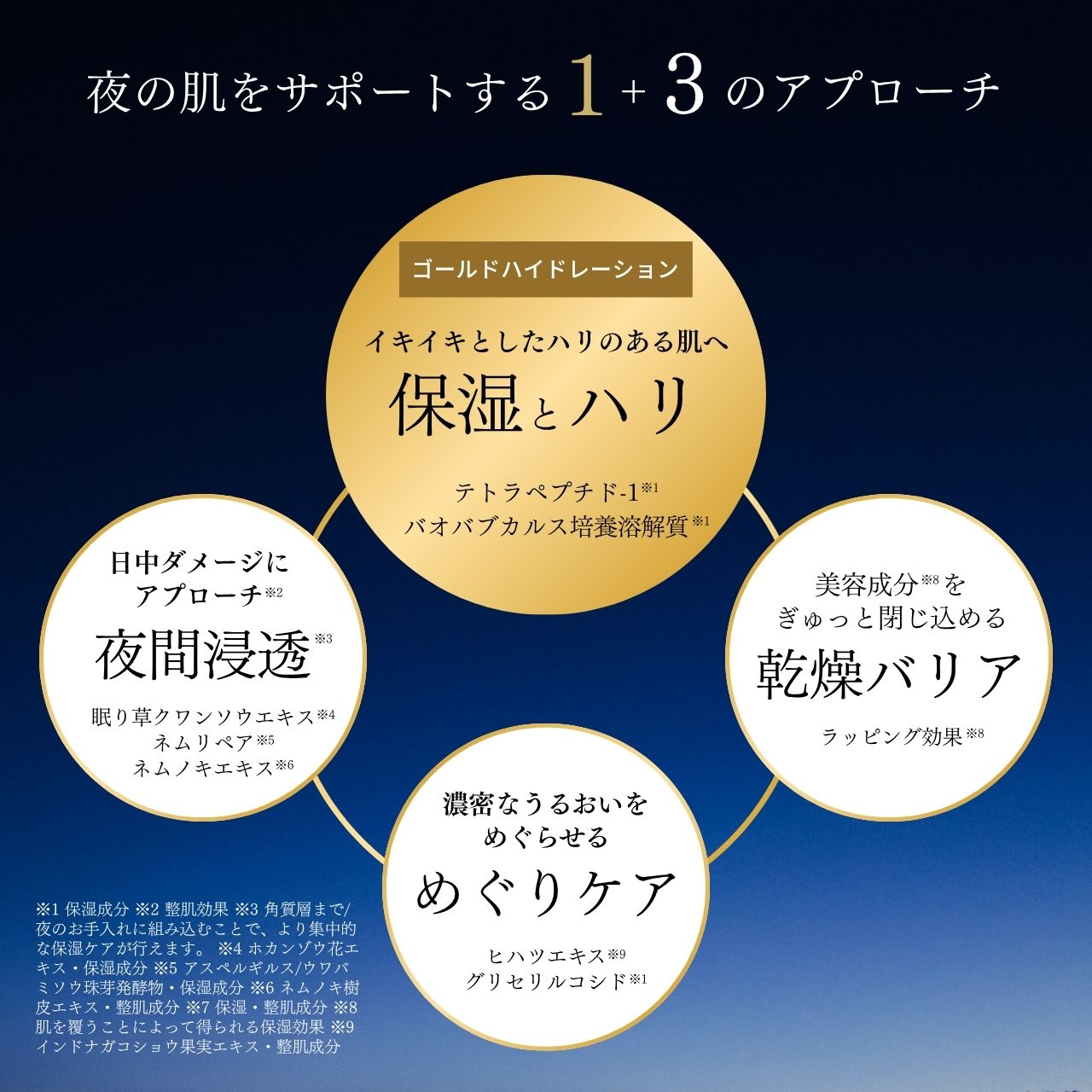 ディアナージュ リネイター グランプラス