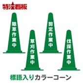 ɸꥫ顼 Сڽ/𴢺//Ȳκ