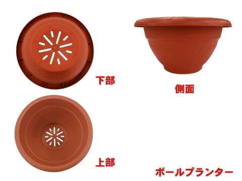 �ܡ���ץ�󥿡� ( �����ڱ� �ץ饹���å� �ץ�󥿡� ����ȭ ȭ �� �����ǥ˥� �� ��� ������� �����ǥ� ������� �������Ф� �����ǥ˥����� �ݷ� ��� �٥����ڱ� �ڱ�ץ�󥿡� �󤻤��� �󿢤� �󤻿��� ���� �����ǥ󻨲� ���Ȼ�� ������ ���� )