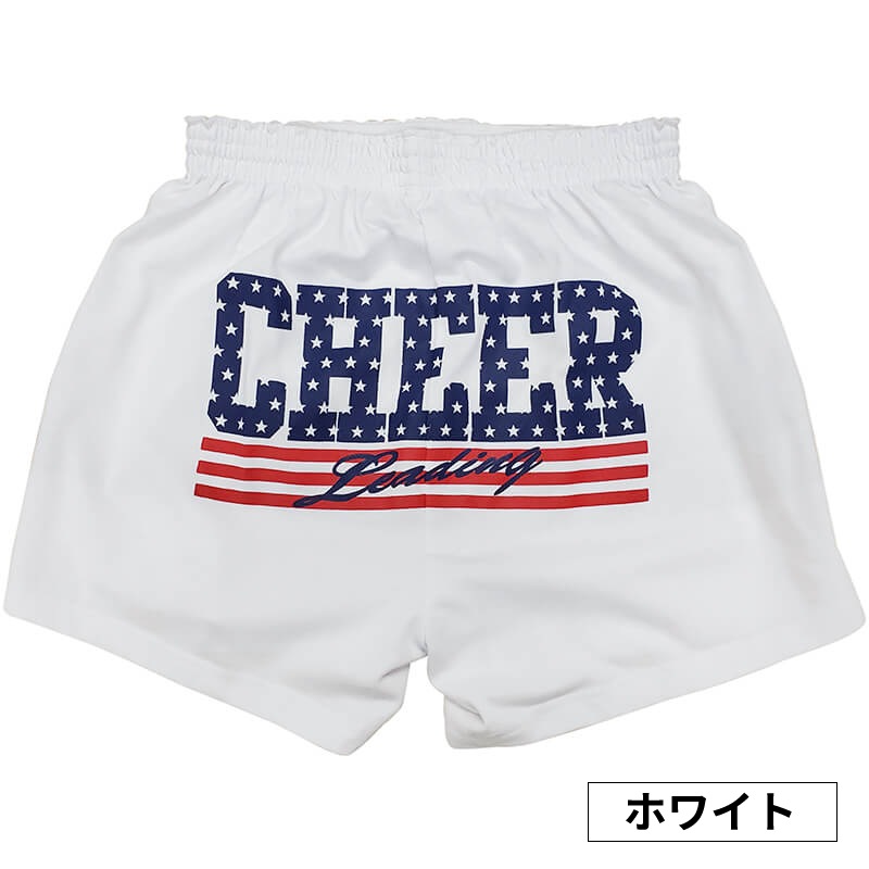 チアパン アメリカ