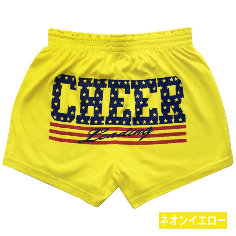 チアパン アメリカ