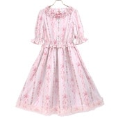 Pointes���ԡ��� (Pointes dress)