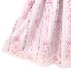 Pointes���ԡ��� (Pointes dress)