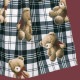 Teddy Bear TartanΡ꡼֥ԡ (Teddy Bear Tartan sleeveless dress)