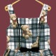 Teddy Bear TartanΡ꡼֥ԡ (Teddy Bear Tartan sleeveless dress)