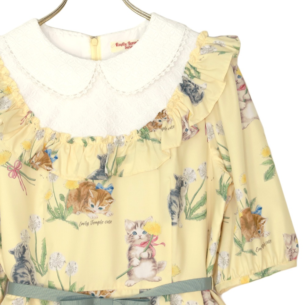 DandeCATԡ(DandeCAT dress)