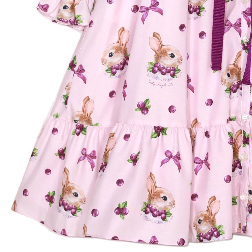 Berry Bunnyԡ(Berry Bunny dress)