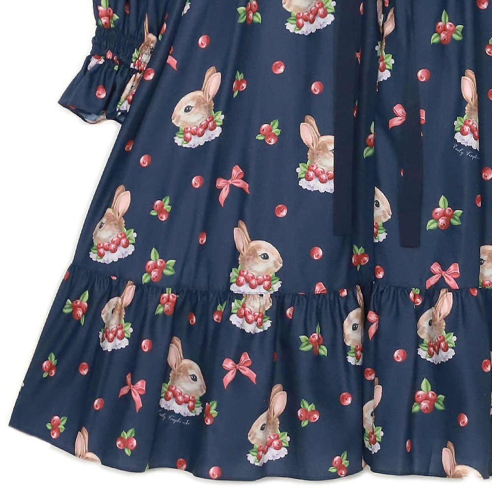 Berry Bunnyԡ(Berry Bunny dress)