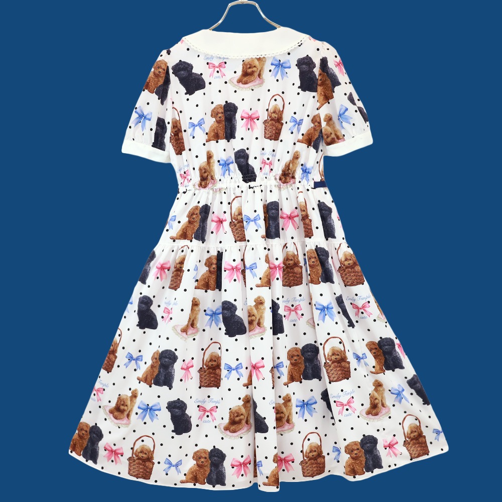 Toy Poodle���ԡ��� (Toy Poodle dress)
