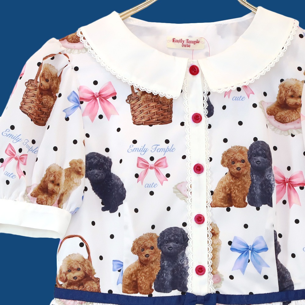 Toy Poodle���ԡ��� (Toy Poodle dress)