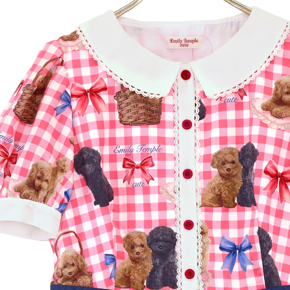 Toy Poodle���ԡ��� (Toy Poodle dress)