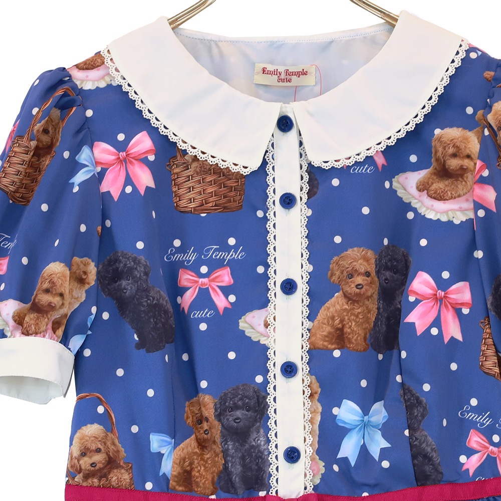 Toy Poodle���ԡ��� (Toy Poodle dress)