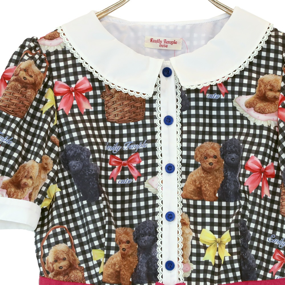 Toy Poodle���ԡ��� (Toy Poodle dress)