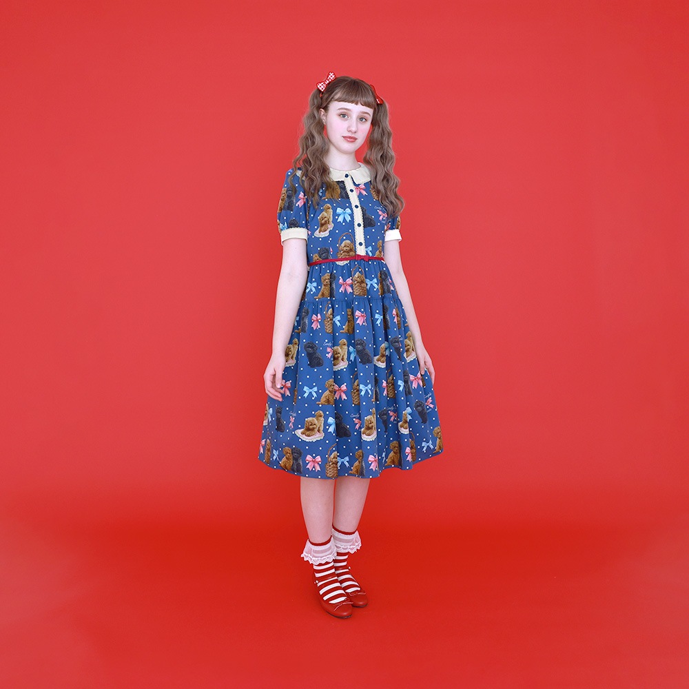Toy Poodle���ԡ��� (Toy Poodle dress)