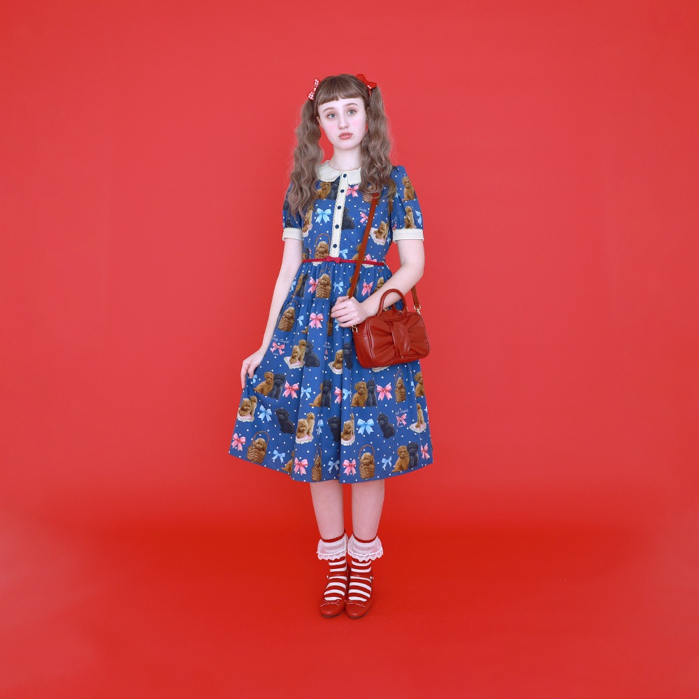 Toy Poodle���ԡ��� (Toy Poodle dress)