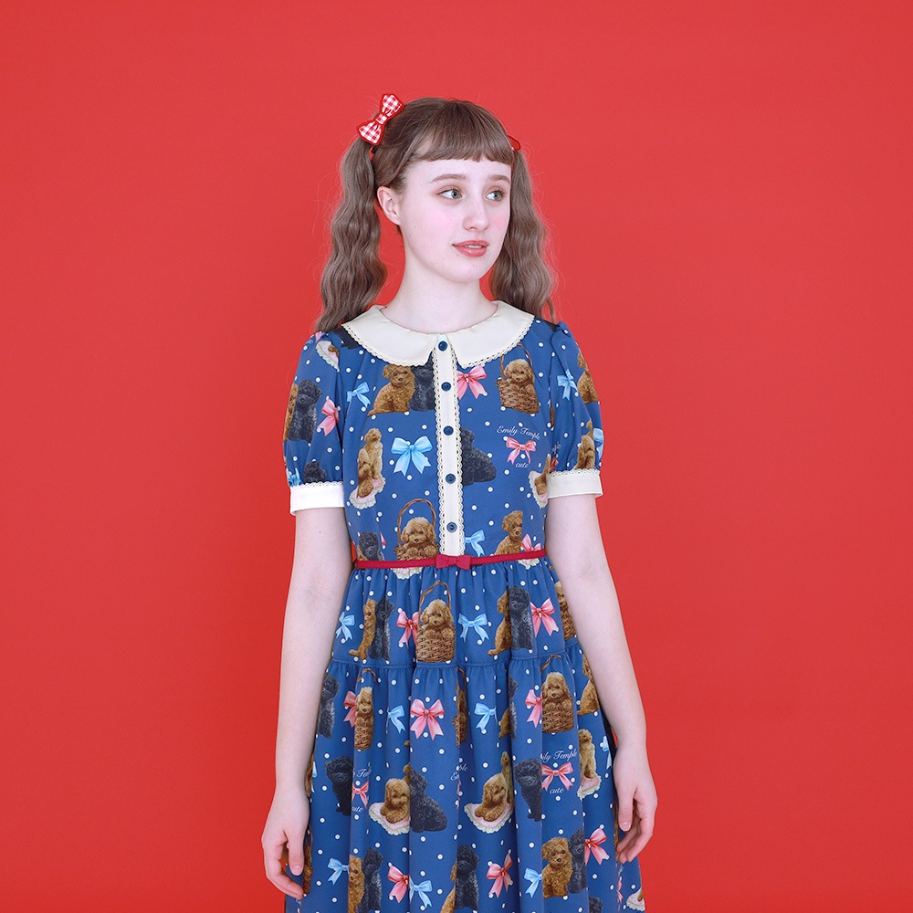 Toy Poodle���ԡ��� (Toy Poodle dress)
