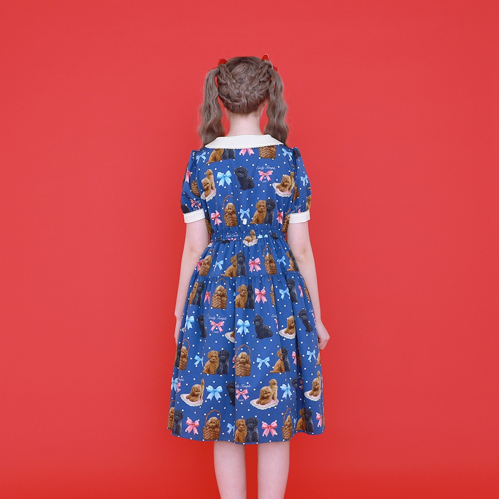 Toy Poodle���ԡ��� (Toy Poodle dress)