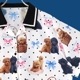 Toy Poodle BIG�����(Toy Poodle BIG blouse)