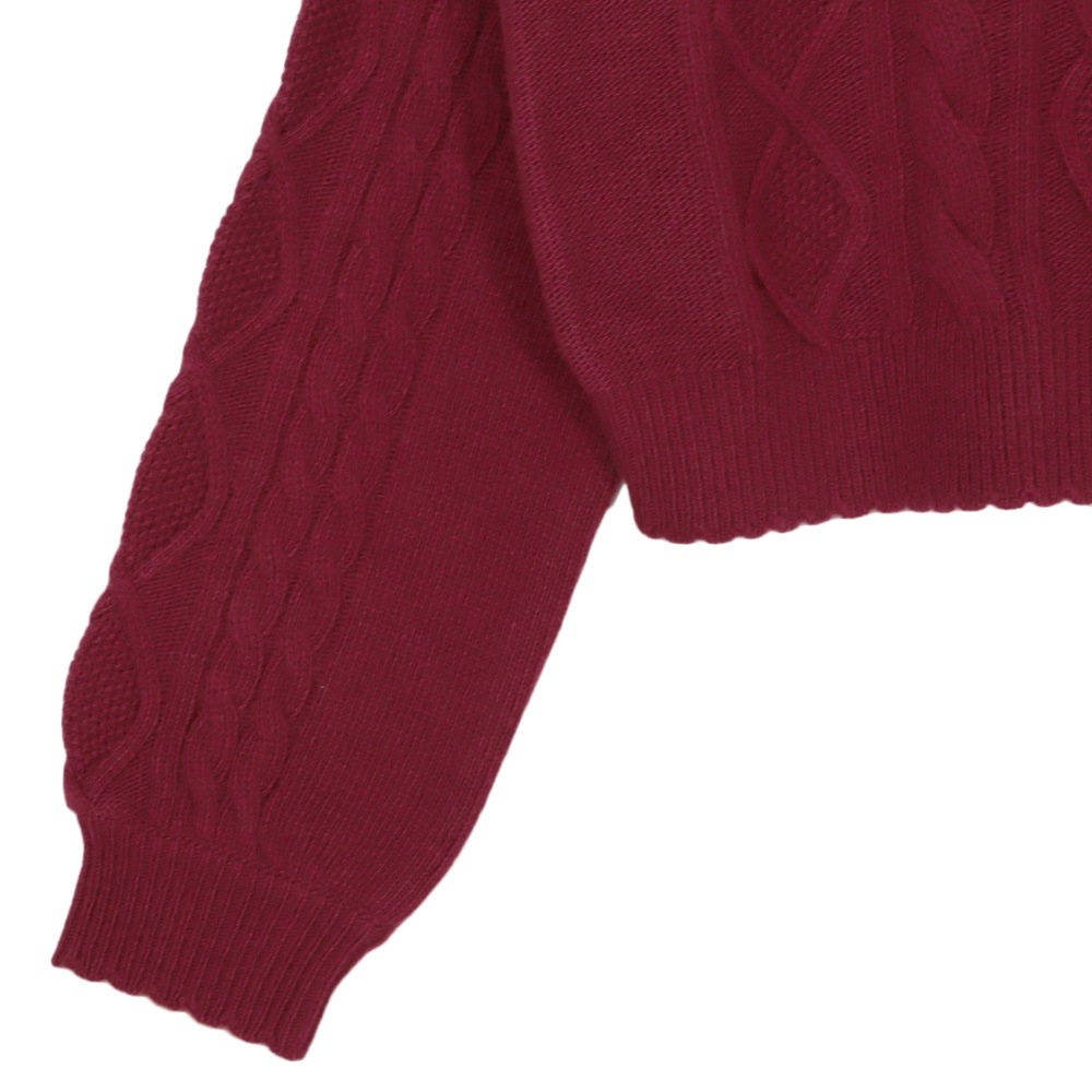 ���դ������֥��Ԥߥ˥å� (cable knit sweater with collar)