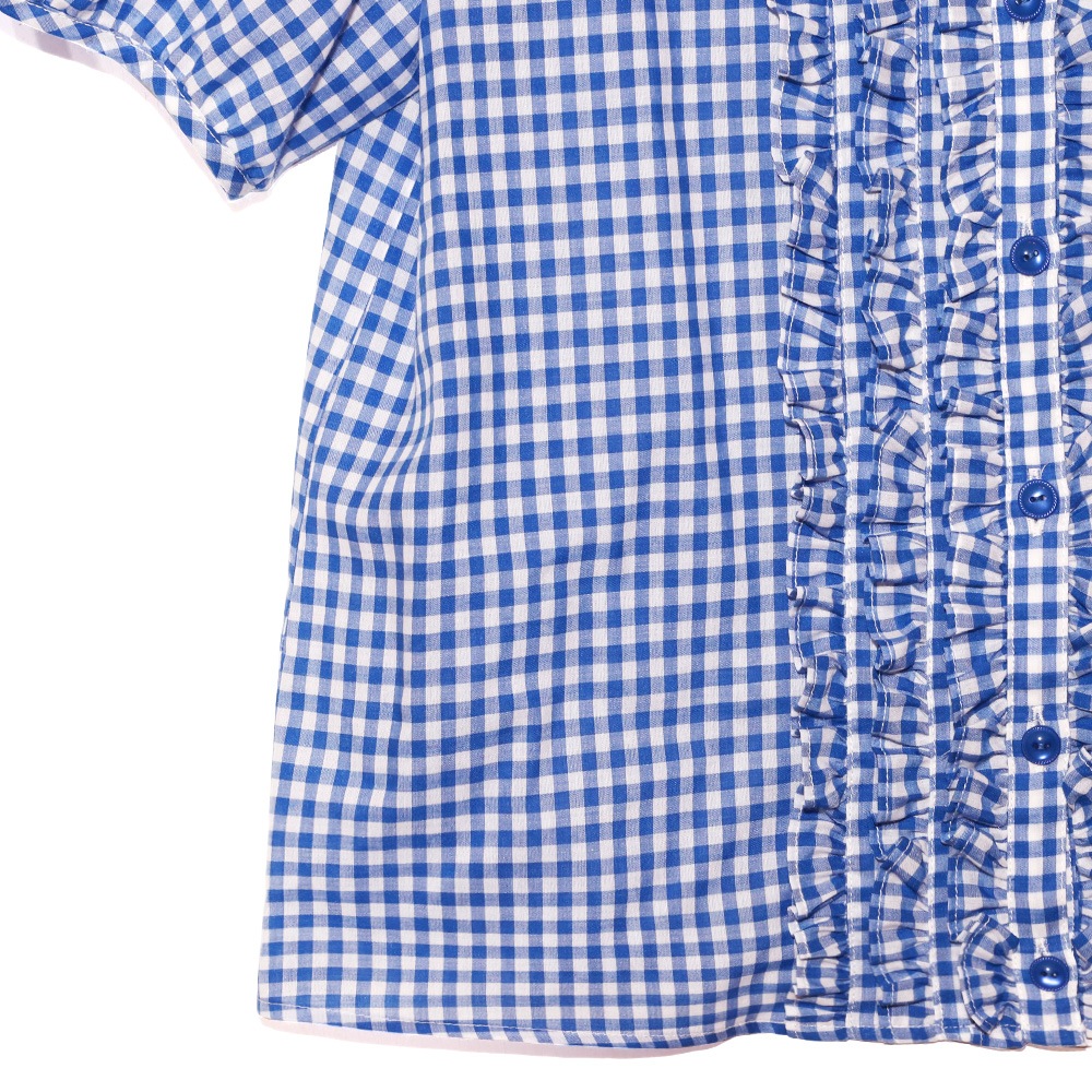 ���󥬥�֥饦�� (Gingham blouse)
